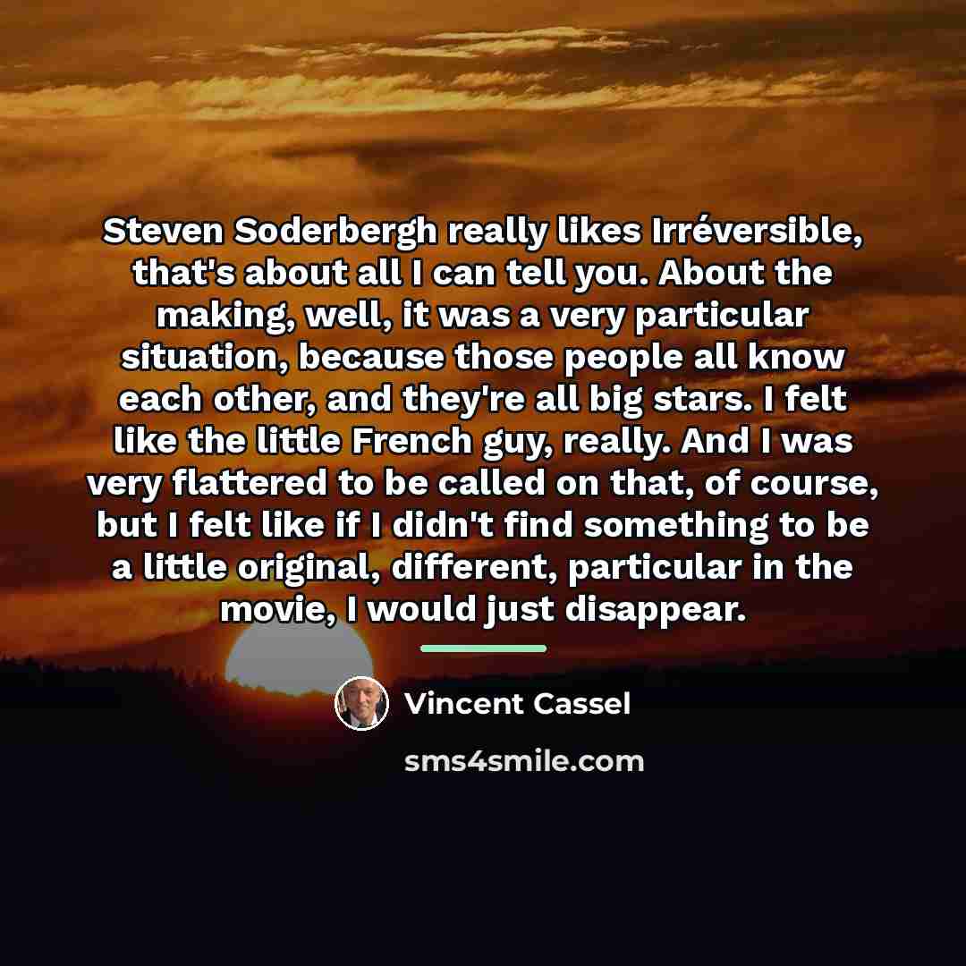 “Steven Soderbergh really likes Irréversible, that's about all I can…” quote by Vincent Cassel