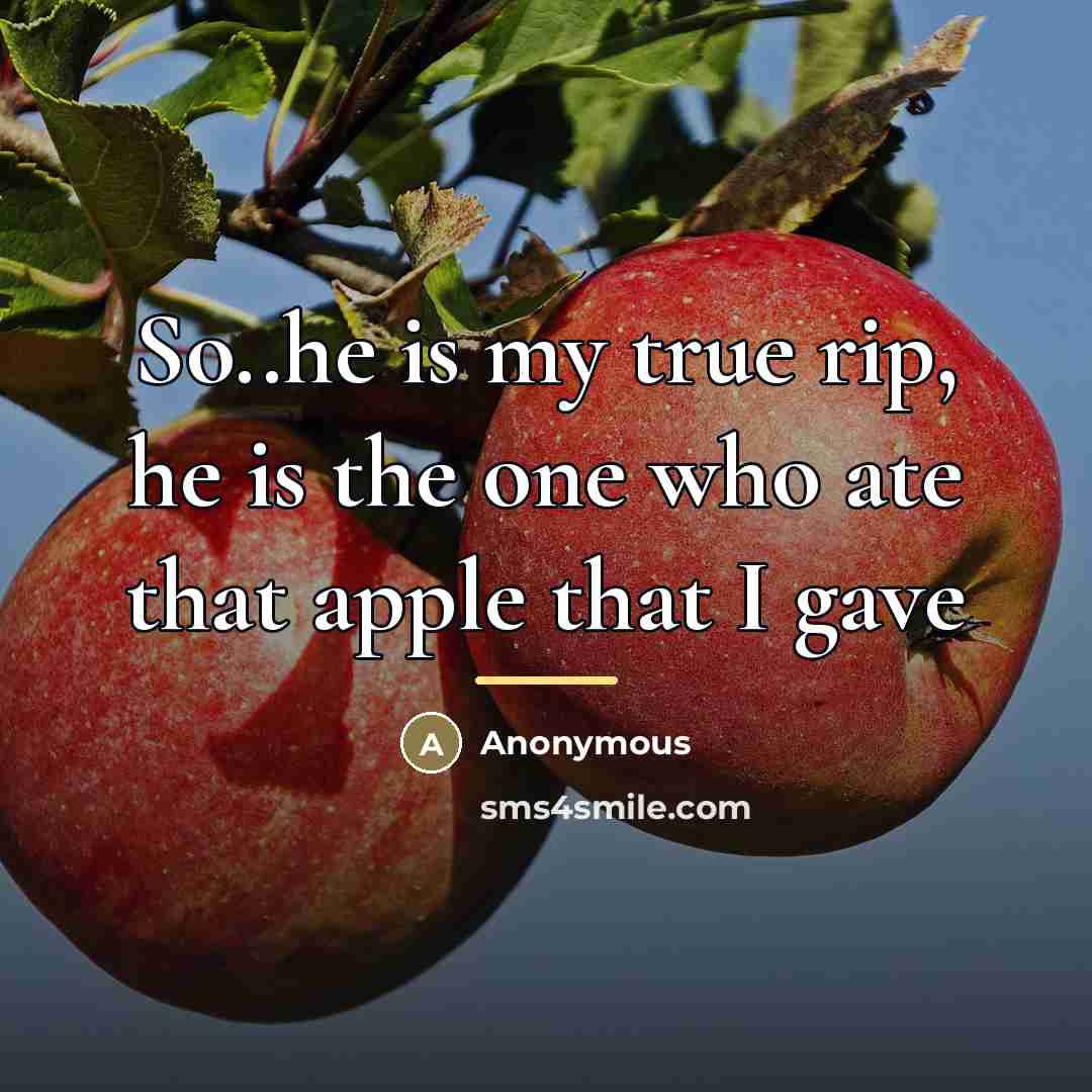 “So..he is my true rip, he is the one who…” quote by Anonymous