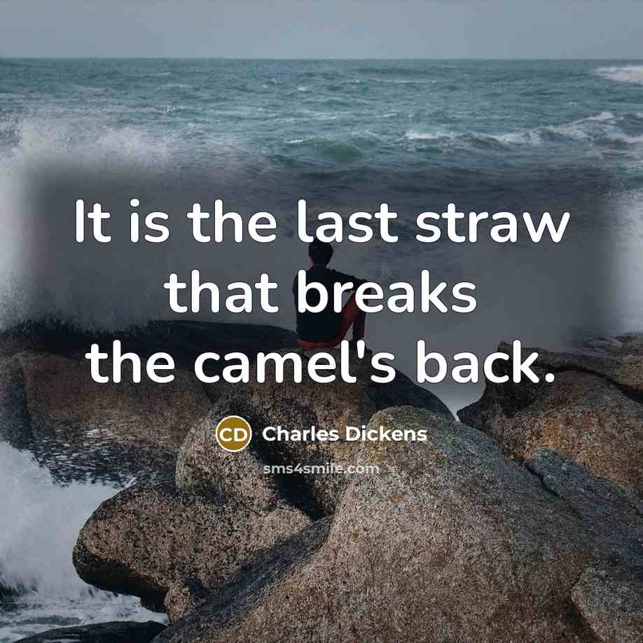 “It is the last straw that breaks the camel's back.…” quote by Charles Dickens