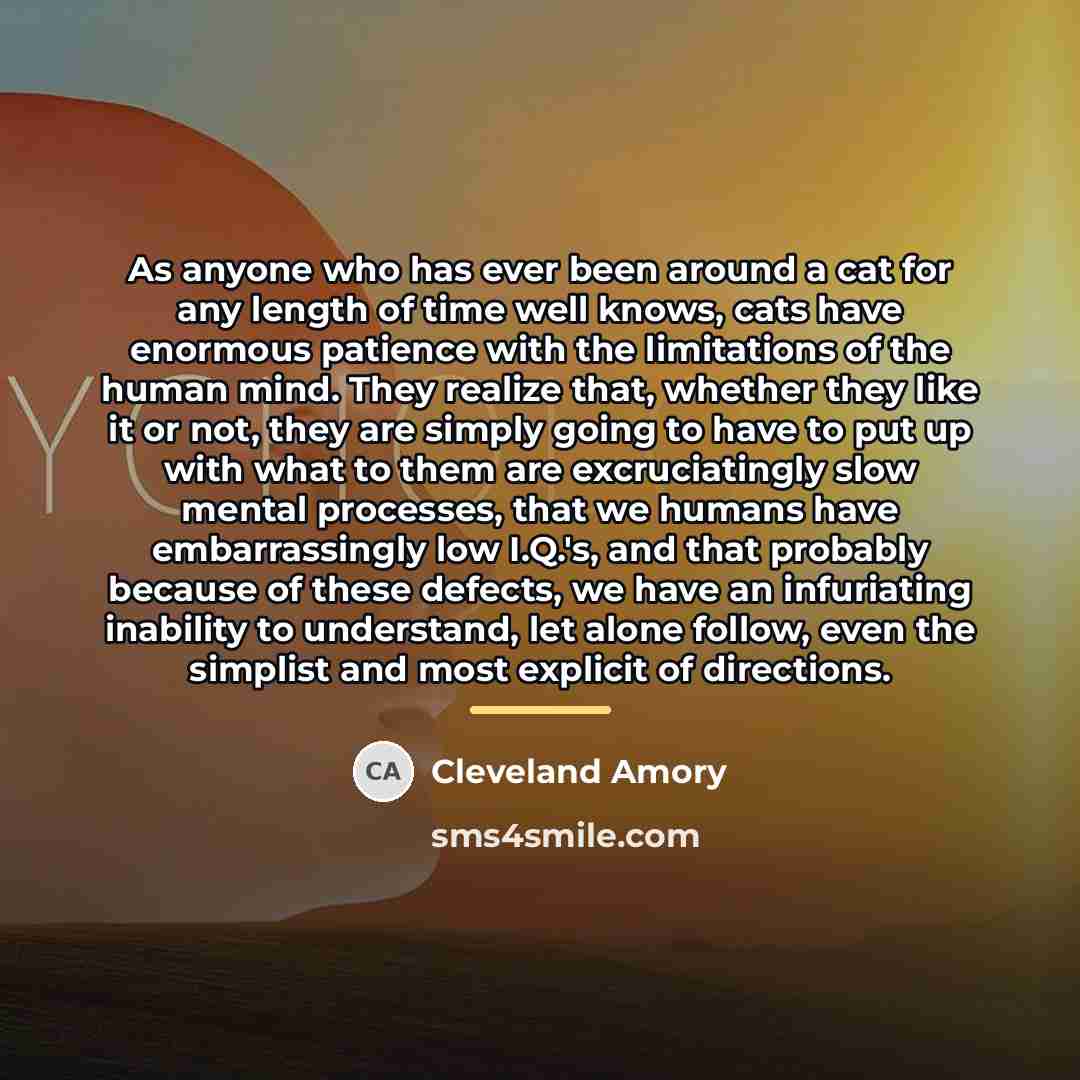 “As anyone who has ever been around a cat for…” quote by Cleveland Amory