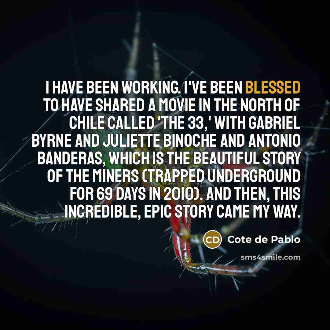 “I have been working. I've been blessed to have shared…” quote by Cote de Pablo