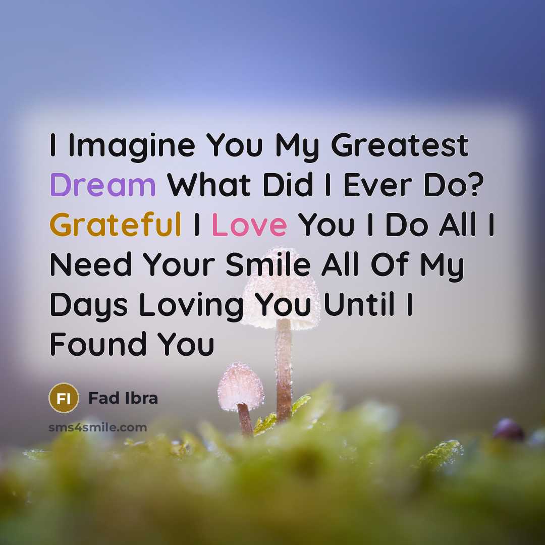“I Imagine You My Greatest Dream What Did I Ever…” quote by Fad Ibra