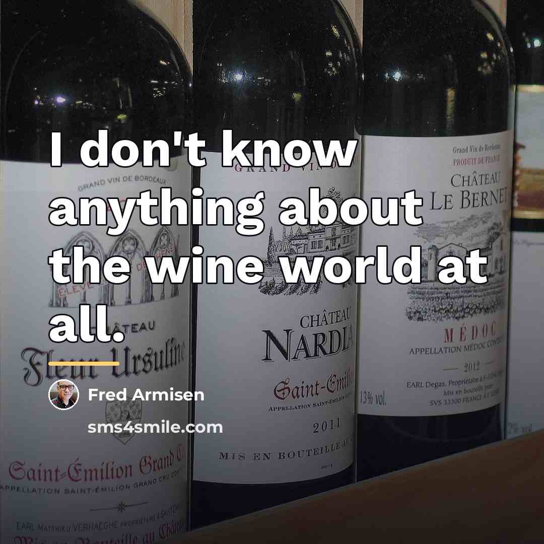 “I don't know anything about the wine world at all.…” quote by Fred Armisen