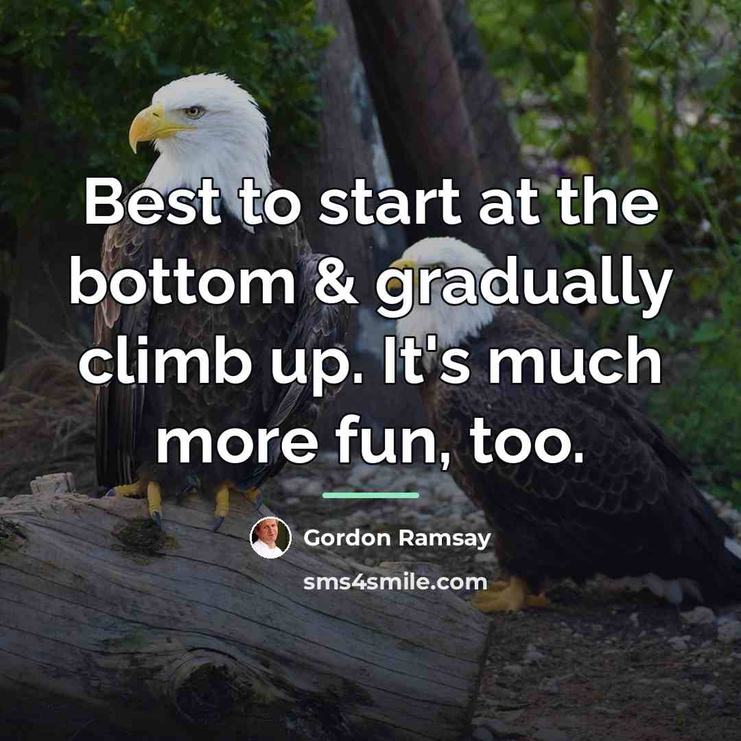 “Best to start at the bottom & gradually climb up.…” quote by Gordon Ramsay