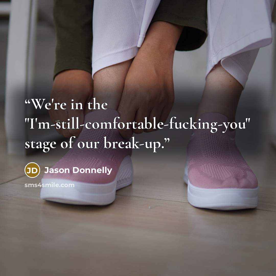 “We're in the "I'm-still-comfortable-fucking-you" stage of our break-up.” quote by Jason Donnelly