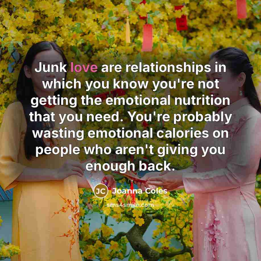 “Junk love are relationships in which you know you're not…” quote by Joanna Coles