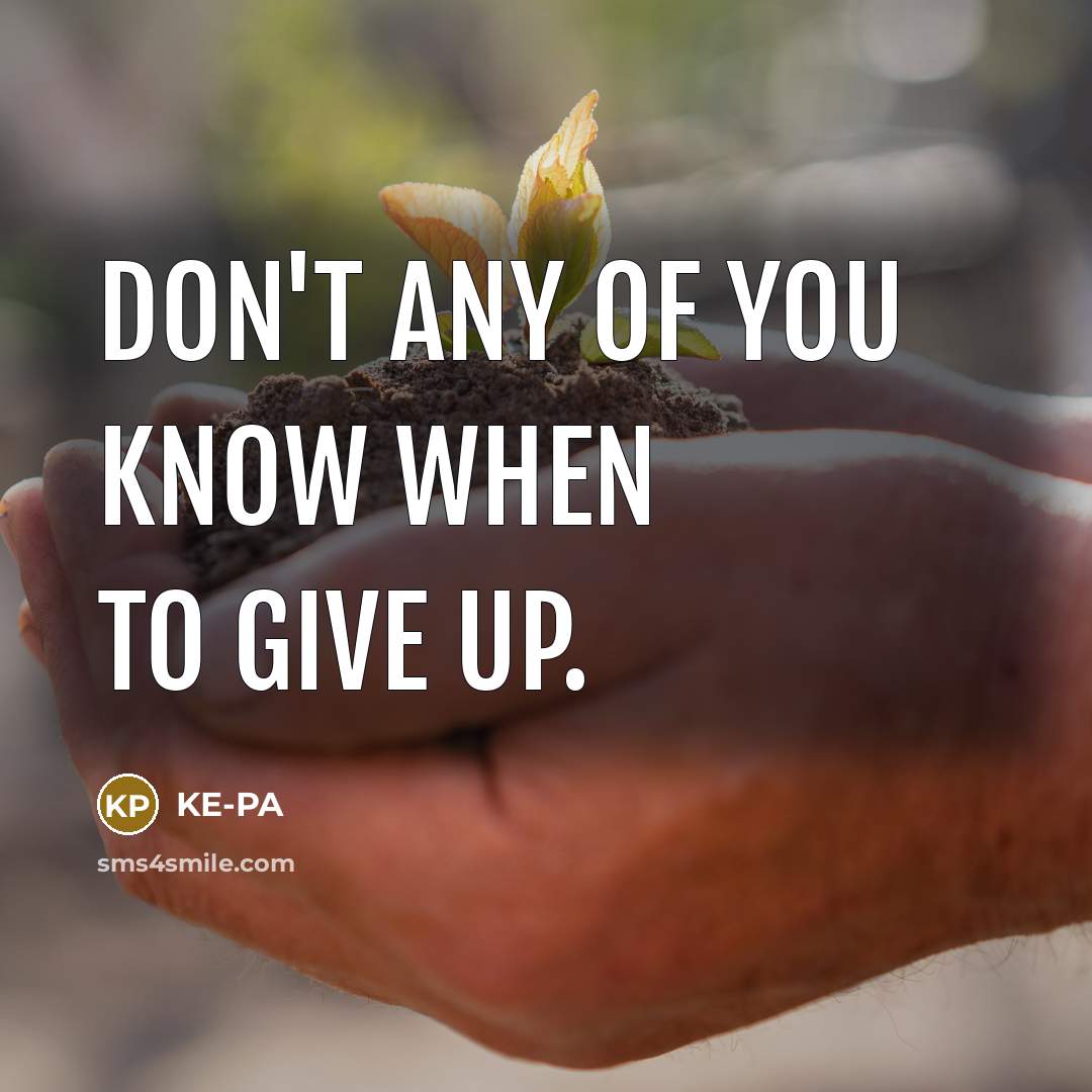 “Don't any of you know when to give up.…” quote by KE-PA