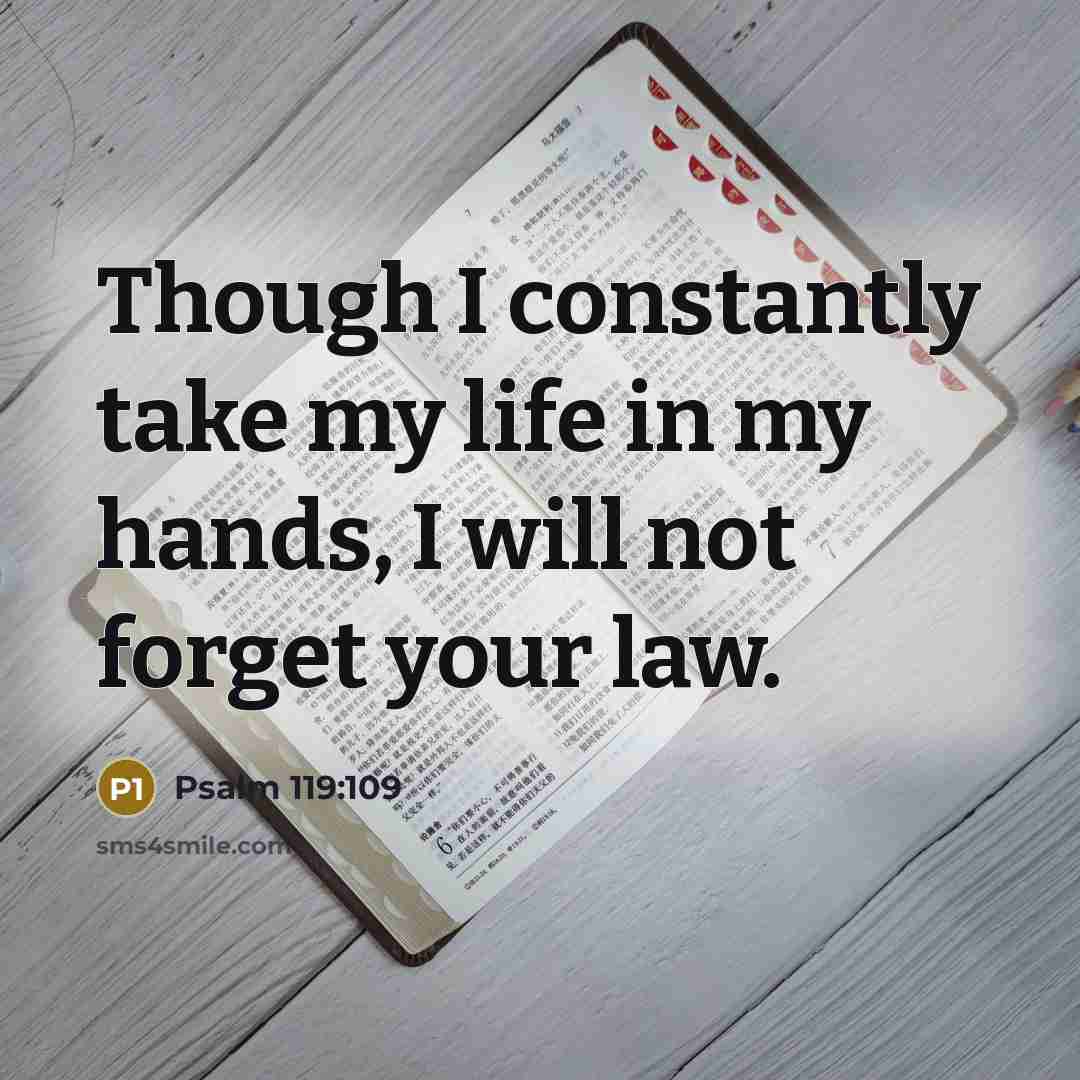 “Though I constantly take my life in my hands, I will not forget your law.” quote by Psalm 119:109