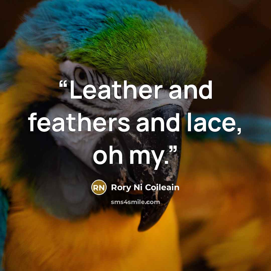 “Leather and feathers and lace, oh my.” quote by Rory Ni Coileain