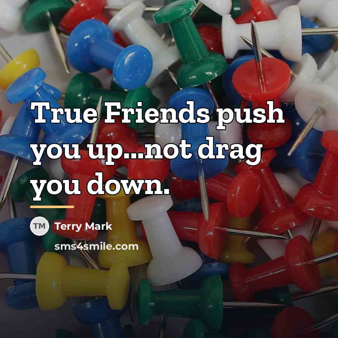 “True Friends push you up...not drag you down.…” quote by Terry Mark