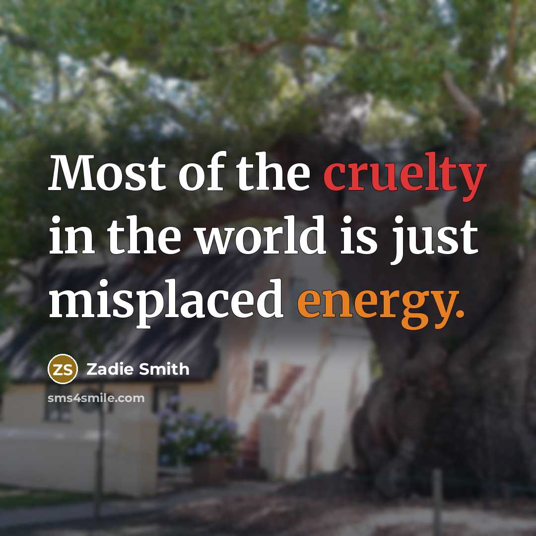 “Most of the cruelty in the world is just misplaced…” quote by Zadie Smith