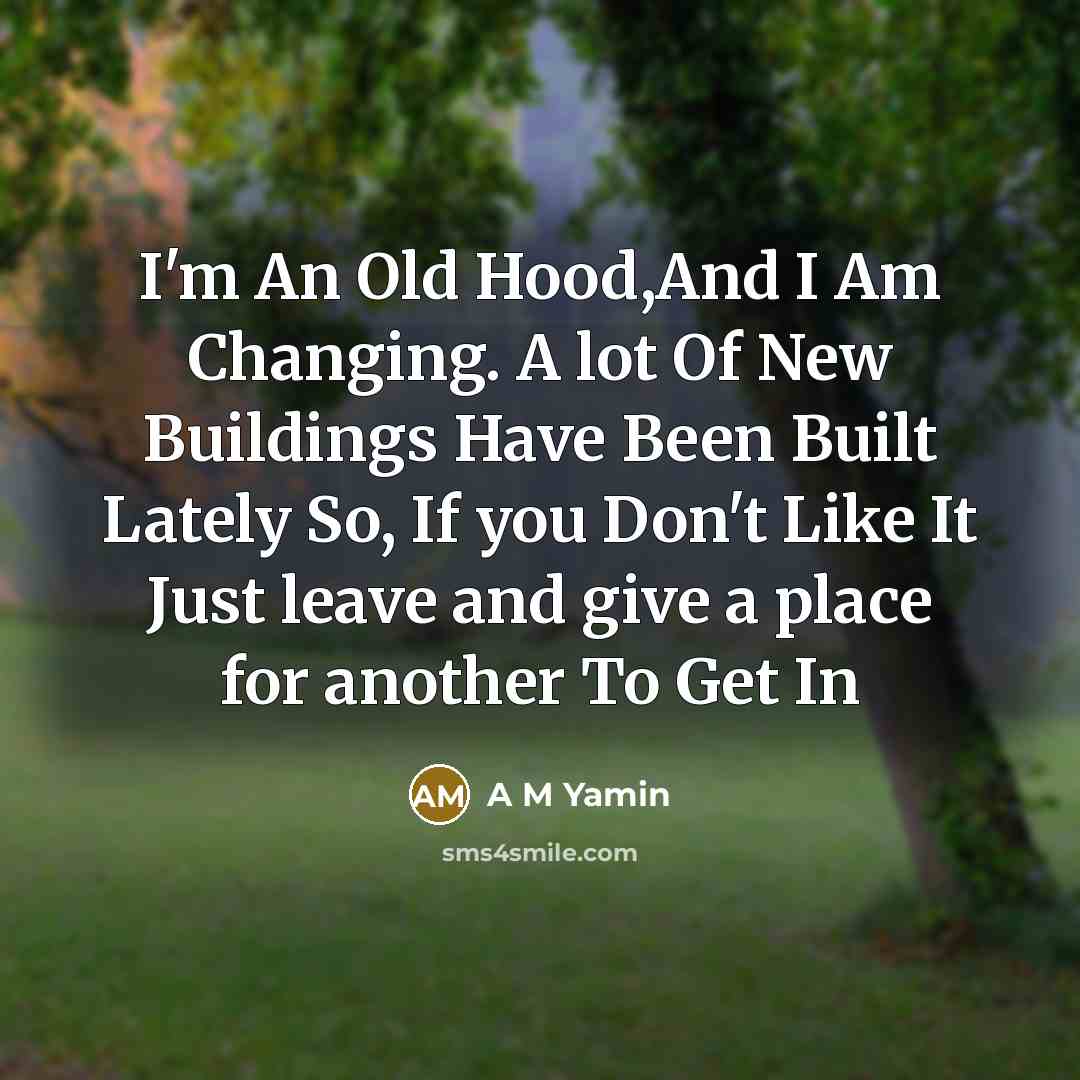 “I'm An Old Hood,And I Am Changing. A lot Of…” quote by A M Yamin
