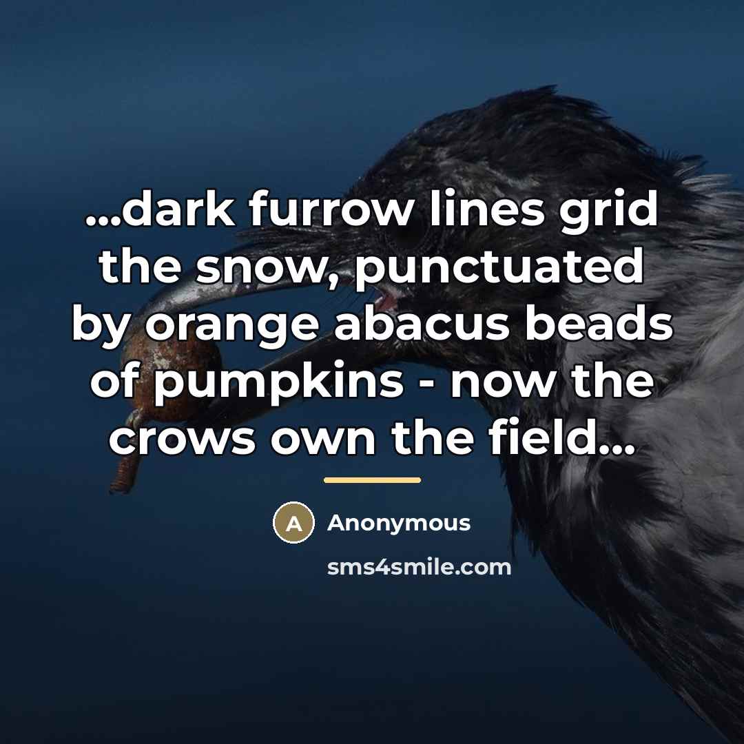 “...dark furrow lines grid the snow, punctuated by orange abacus…” quote by Anonymous