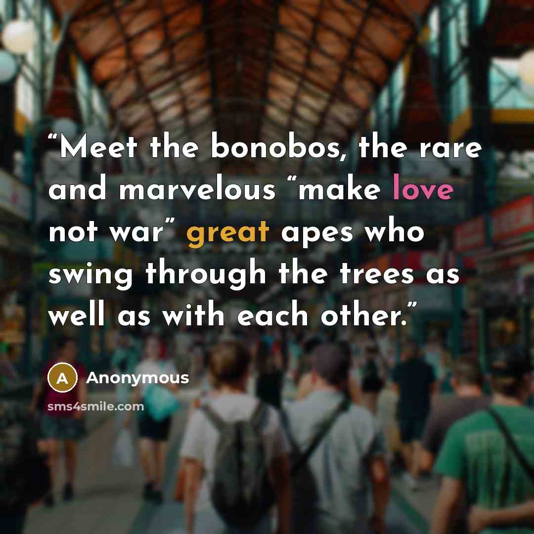 “Meet the bonobos, the rare and marvelous “make love not war” great apes who swing through the trees as well as with each other.” quote by Anonymous