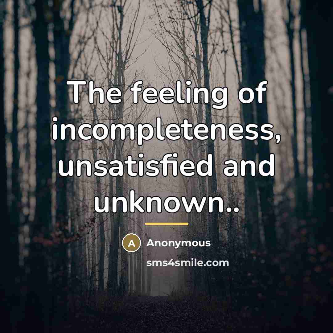“The feeling of incompleteness, unsatisfied and unknown..…” quote by Anonymous