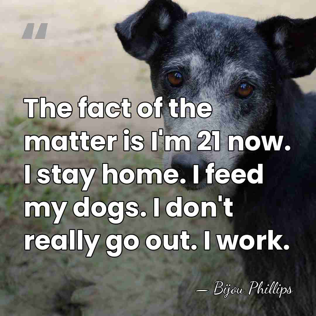 The fact of the matter is I'm 21 now. I stay home.&hellip; - Bijou Phillips