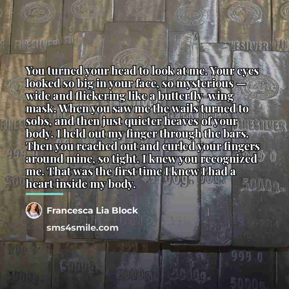 “You turned your head to look at me. Your eyes…” quote by Francesca Lia Block