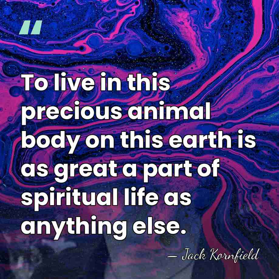 To live in this precious animal body on this earth is as&hellip; - Jack Kornfield