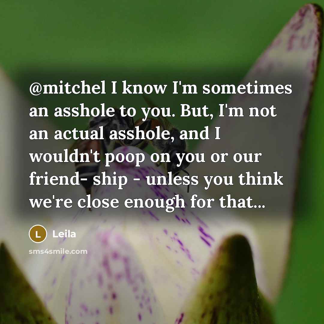 “@mitchel I know I'm sometimes an asshole to you. But,…” quote by Leila