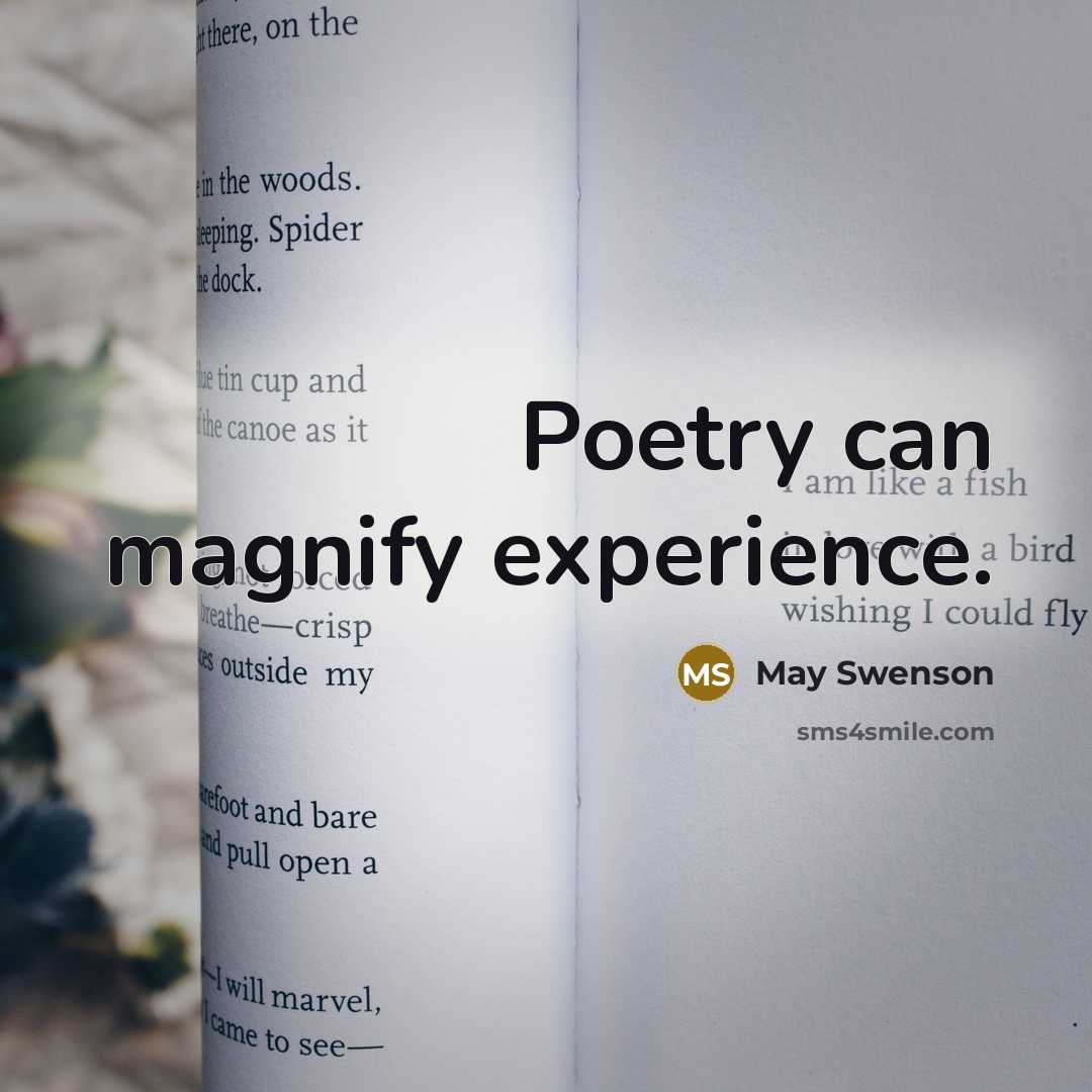 “Poetry can magnify experience.” quote by May Swenson