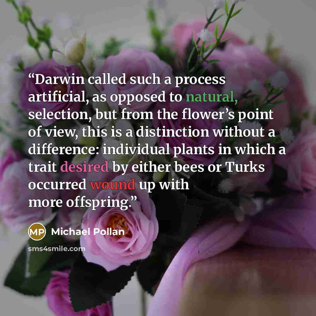 “Darwin called such a process artificial, as opposed to natural, selection, but from the flower’s point of view, this is a distinction without a difference: individual plants in which a trait desired by either bees or Turks occurred wound up with more offspring.” quote by Michael Pollan