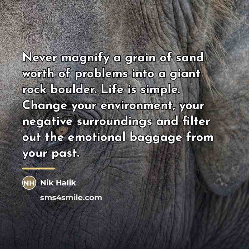 “Never magnify a grain of sand worth of problems into…” quote by Nik Halik