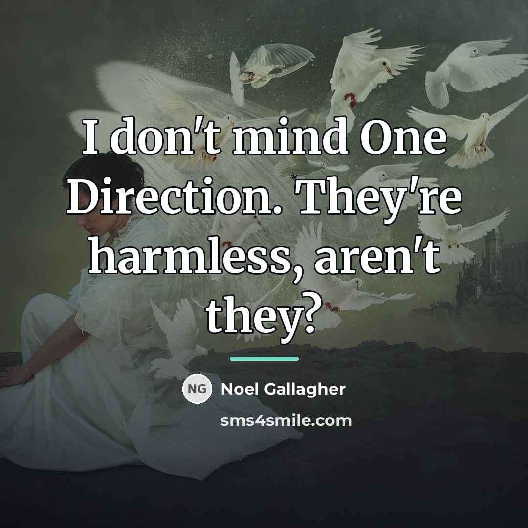 “I don't mind One Direction. They're harmless, aren't they?…” quote by Noel Gallagher