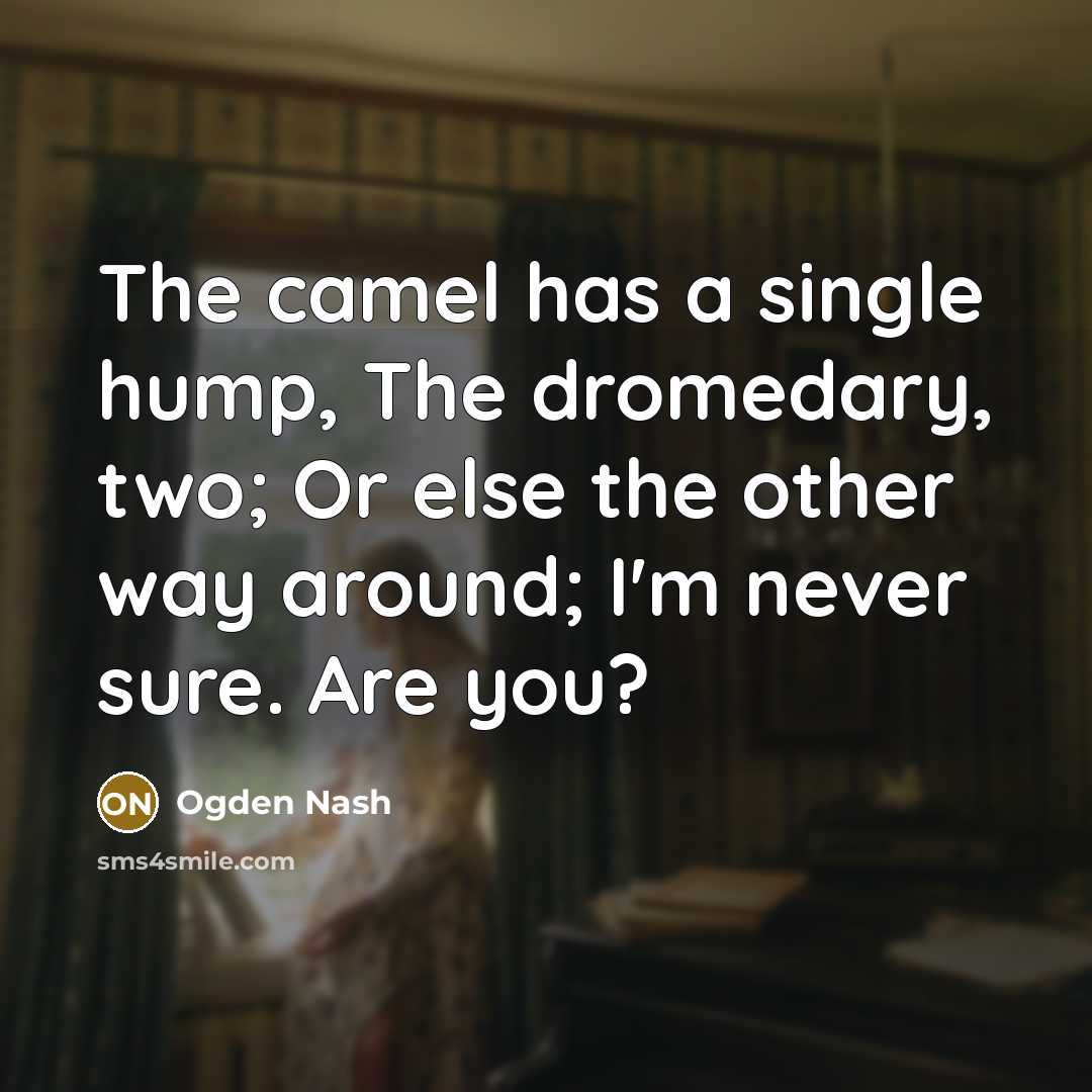 “The camel has a single hump, The dromedary, two; Or…” quote by Ogden Nash