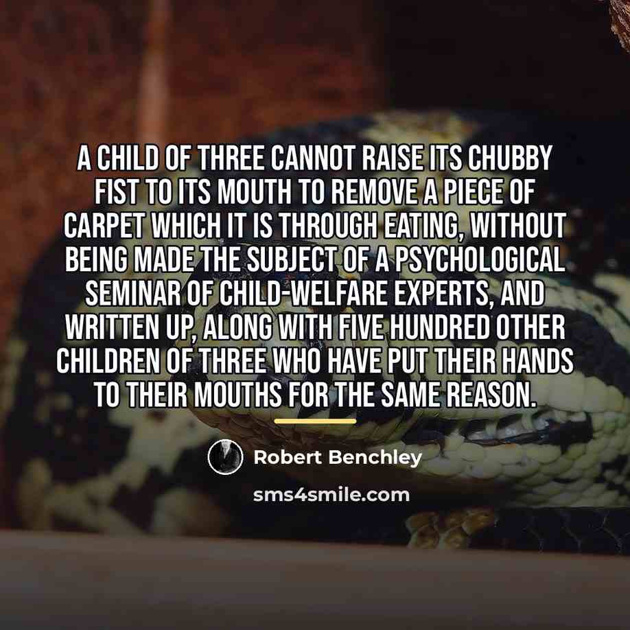 “A child of three cannot raise its chubby fist to…” quote by Robert Benchley