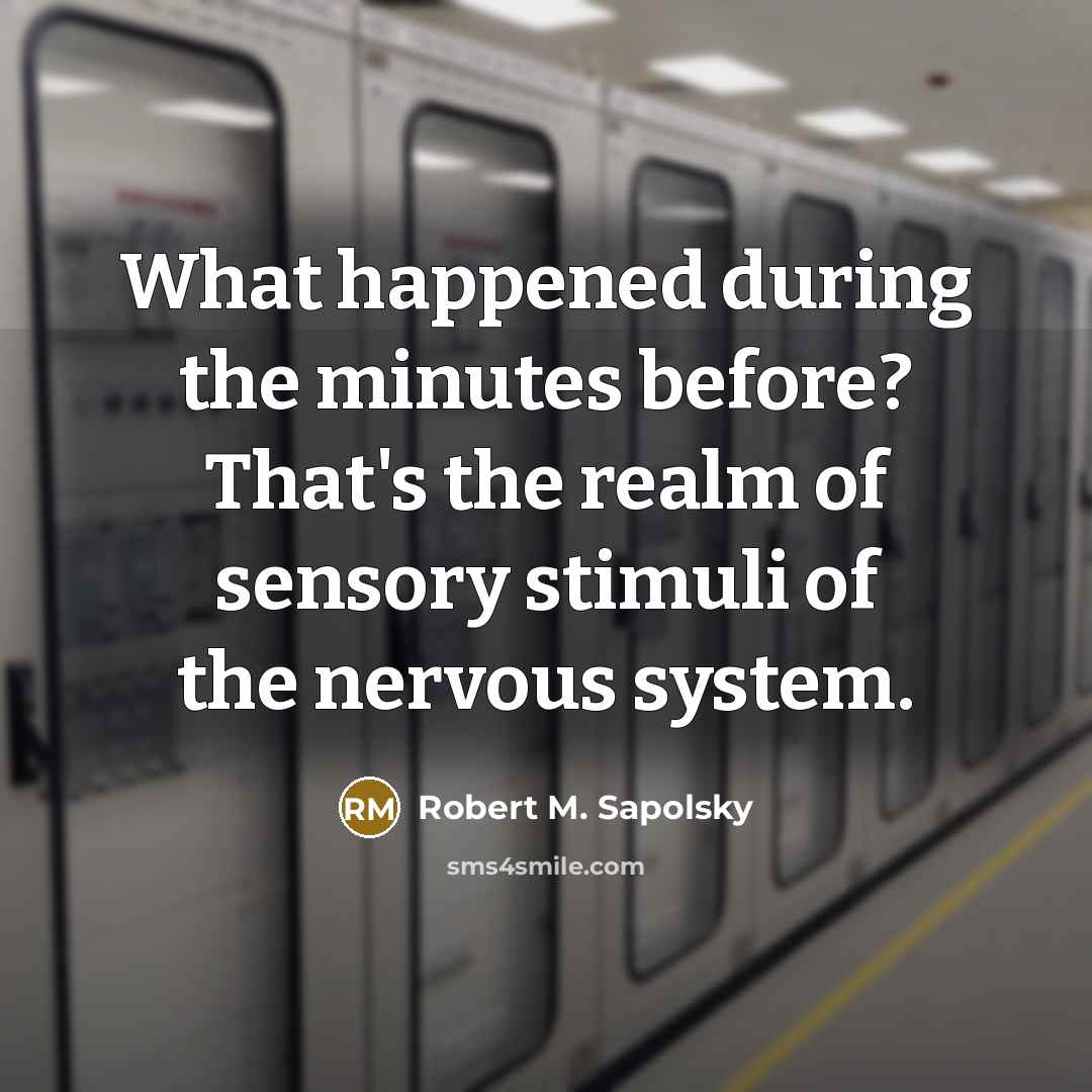 “What happened during the minutes before? That's the realm of…” quote by Robert M. Sapolsky