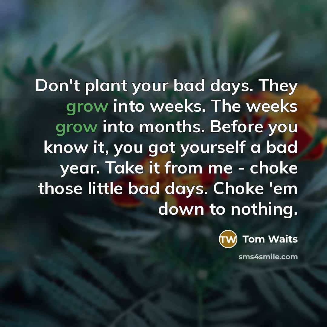 “Don't plant your bad days. They grow into weeks. The…” quote by Tom Waits