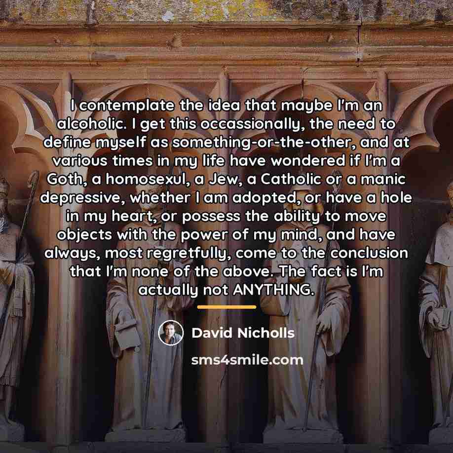 “I contemplate the idea that maybe I'm an alcoholic. I…” quote by David Nicholls