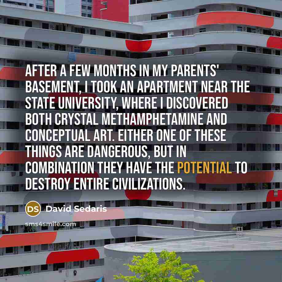 “After a few months in my parents' basement, I took…” quote by David Sedaris