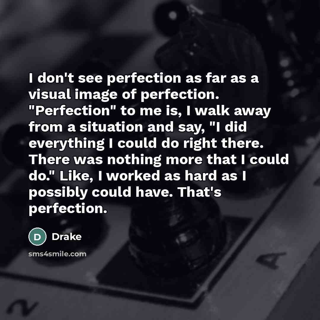 “I don't see perfection as far as a visual image…” quote by Drake