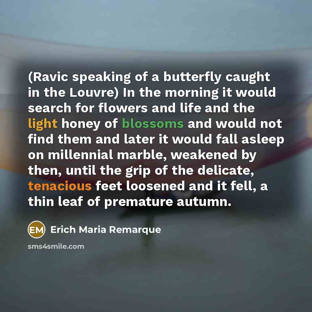 “(Ravic speaking of a butterfly caught in the Louvre) In…” quote by Erich Maria Remarque