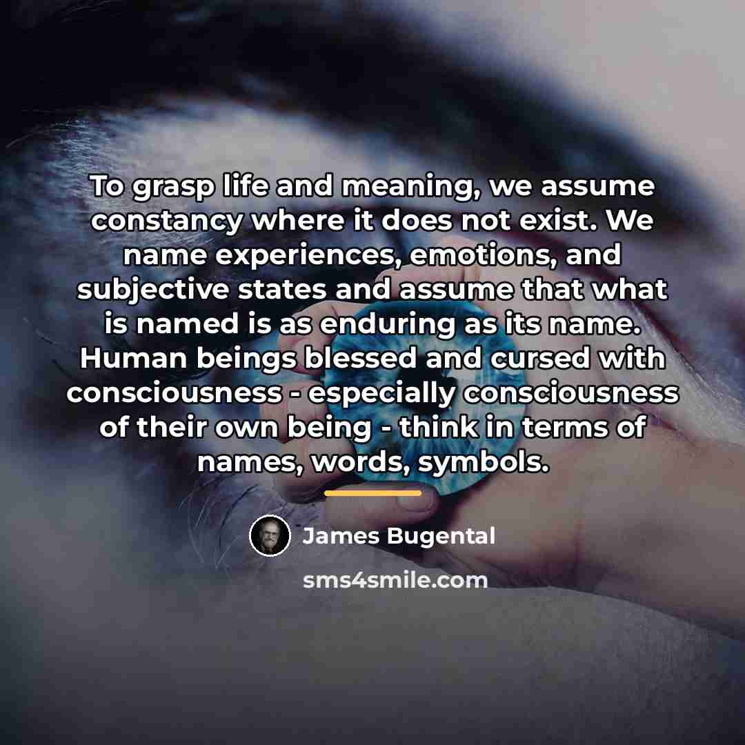 “To grasp life and meaning, we assume constancy where it…” quote by Anonymous