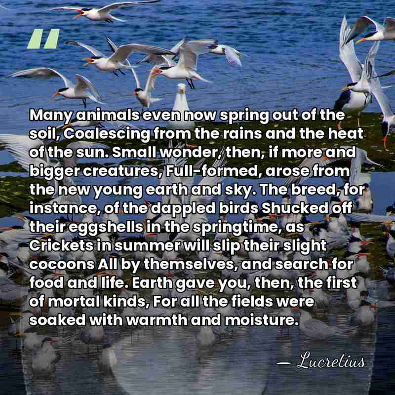 Many animals even now spring out of the soil, Coalescing from the&hellip; - Lucretius