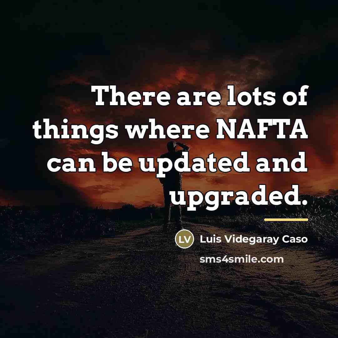 “There are lots of things where NAFTA can be updated…” quote by Luis Videgaray Caso