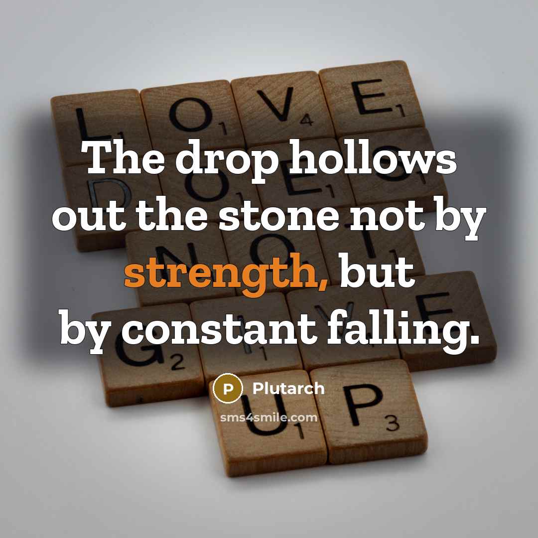 “The drop hollows out the stone not by strength, but…” quote by Plutarch