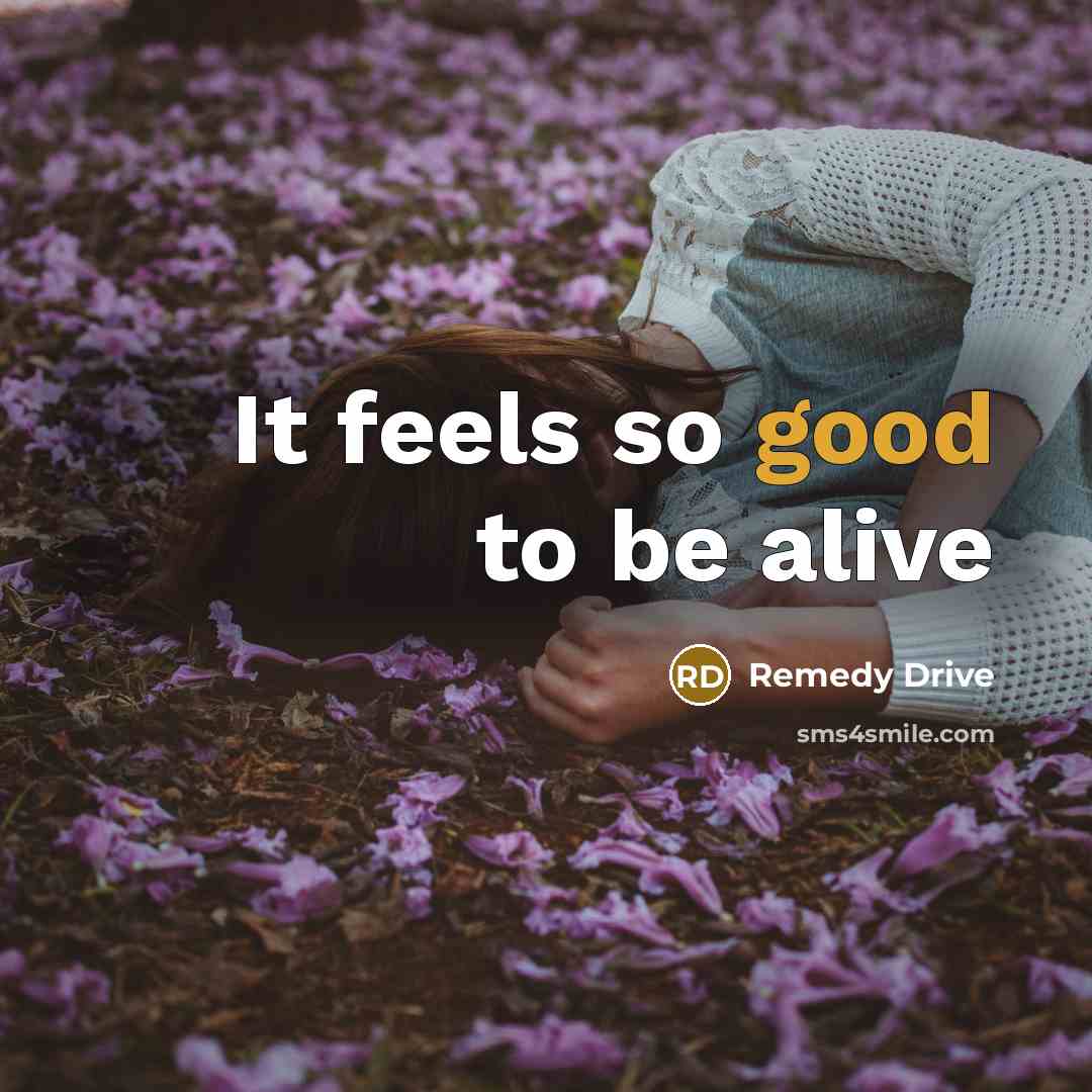 “It feels so good to be alive” quote by Remedy Drive