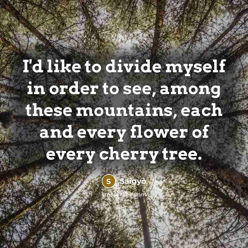 “I'd like to divide myself in order to see, among…” quote by Saigyō