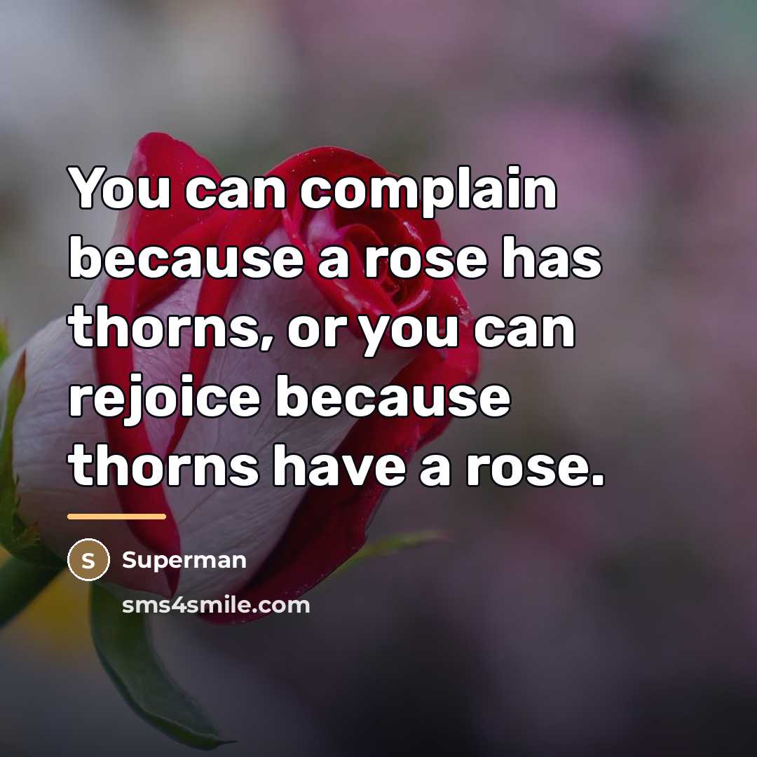 “You can complain because a rose has thorns, or you…” quote by Superman