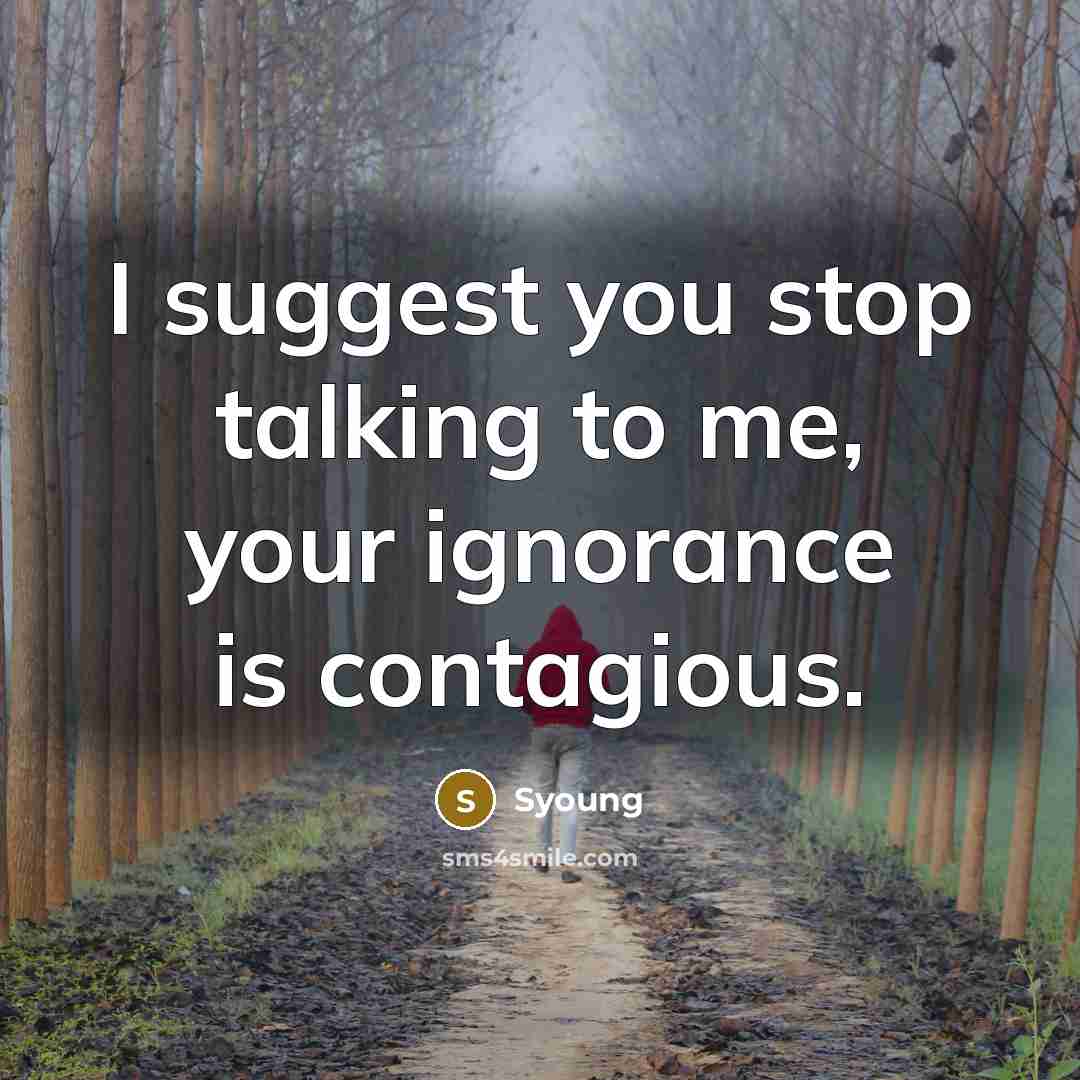 “I suggest you stop talking to me, your ignorance is…” quote by Syoung