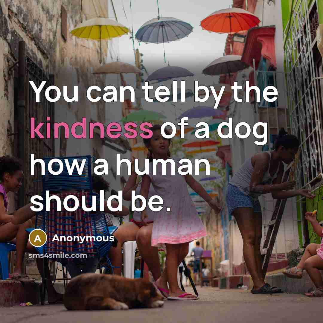“You can tell by the kindness of a dog how…” quote by Anonymous