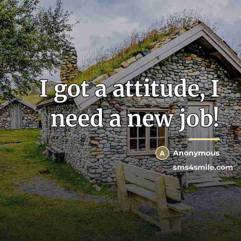 “I got a attitude, I need a new job!…” quote by Anonymous
