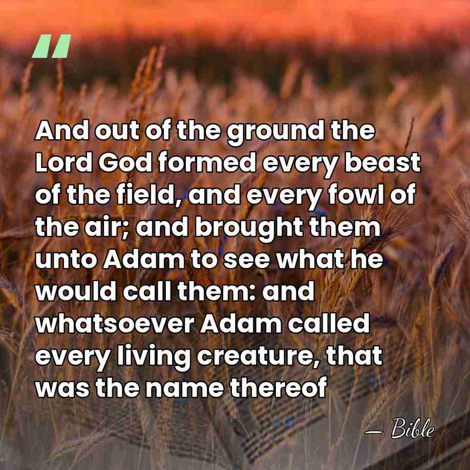 And out of the ground the Lord God formed every beast of&hellip; - Bible