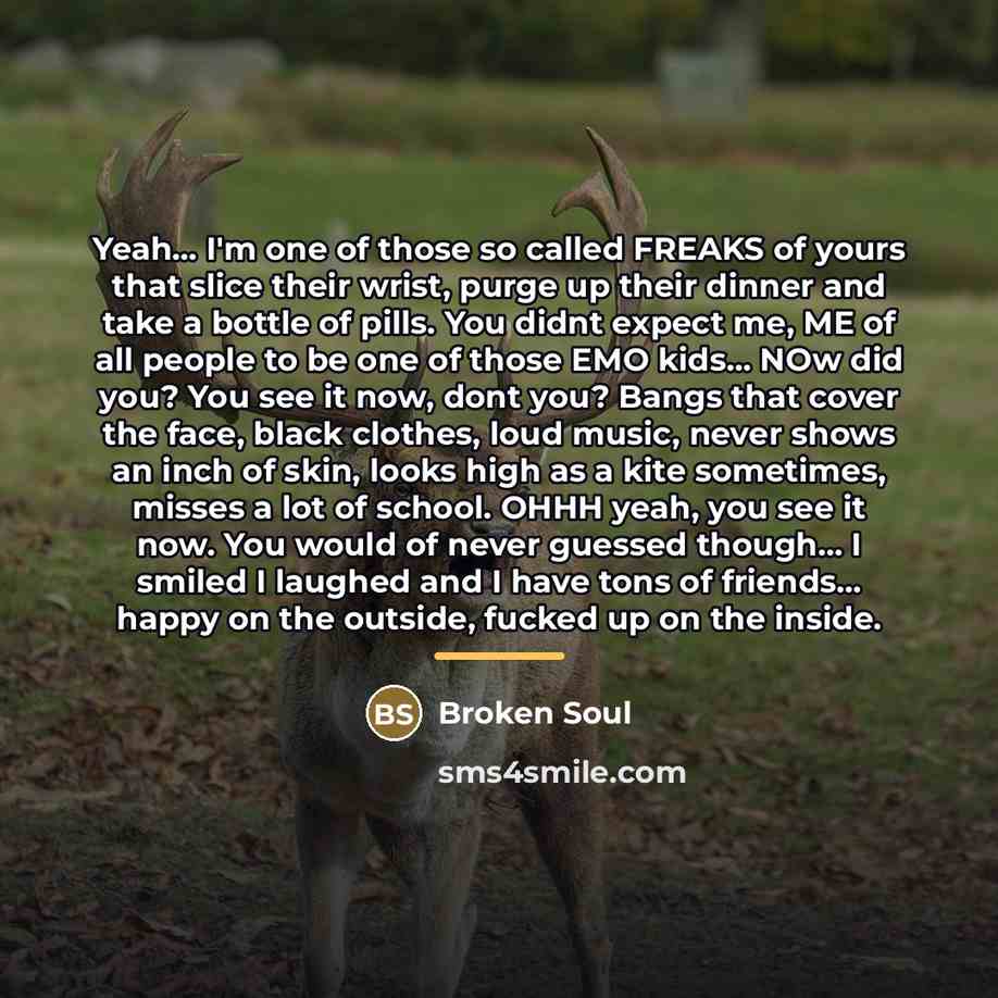 “Yeah... I'm one of those so called FREAKS of yours…” quote by Broken Soul