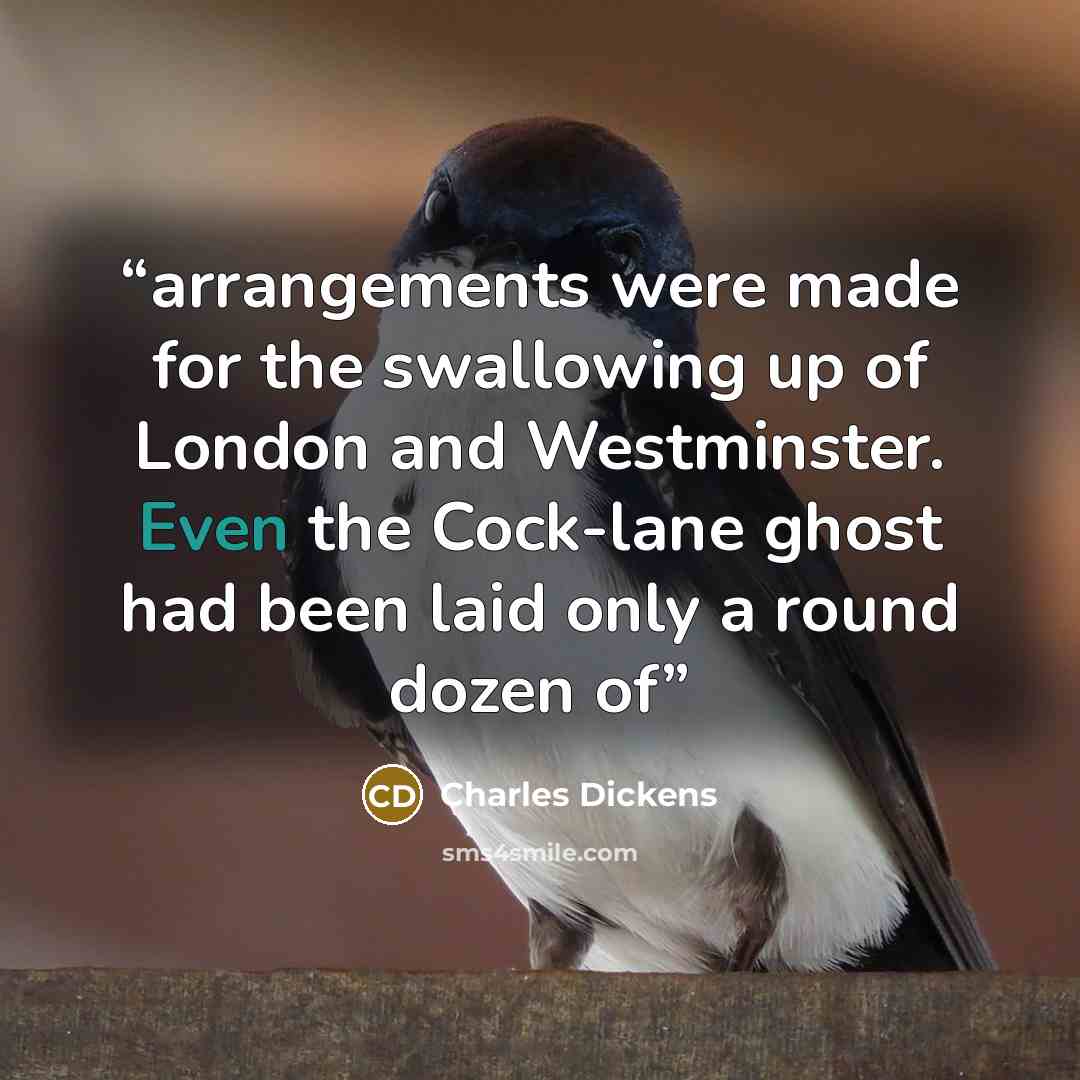 “arrangements were made for the swallowing up of London and Westminster. Even the Cock-lane ghost had been laid only a round dozen of” quote by Charles Dickens