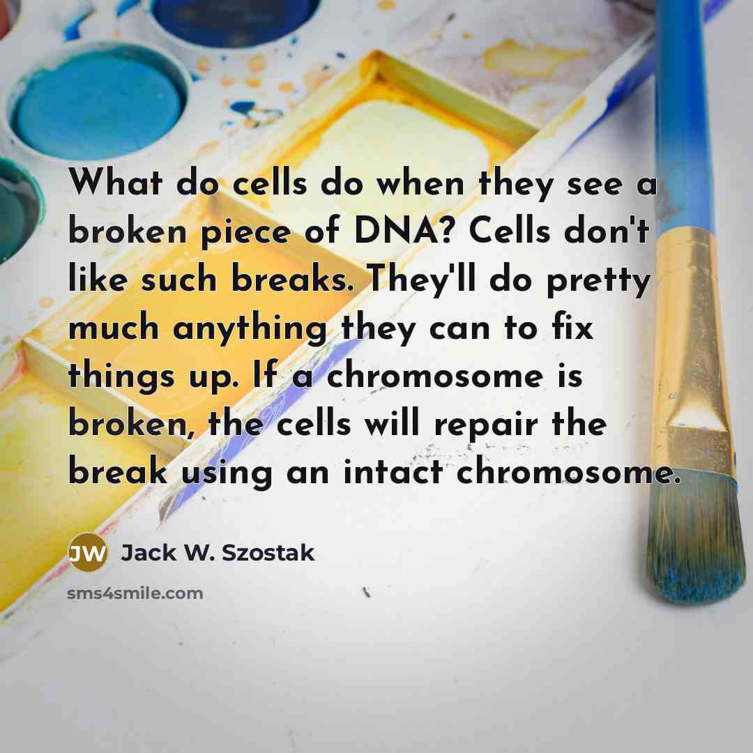 “What do cells do when they see a broken piece…” quote by Jack W. Szostak