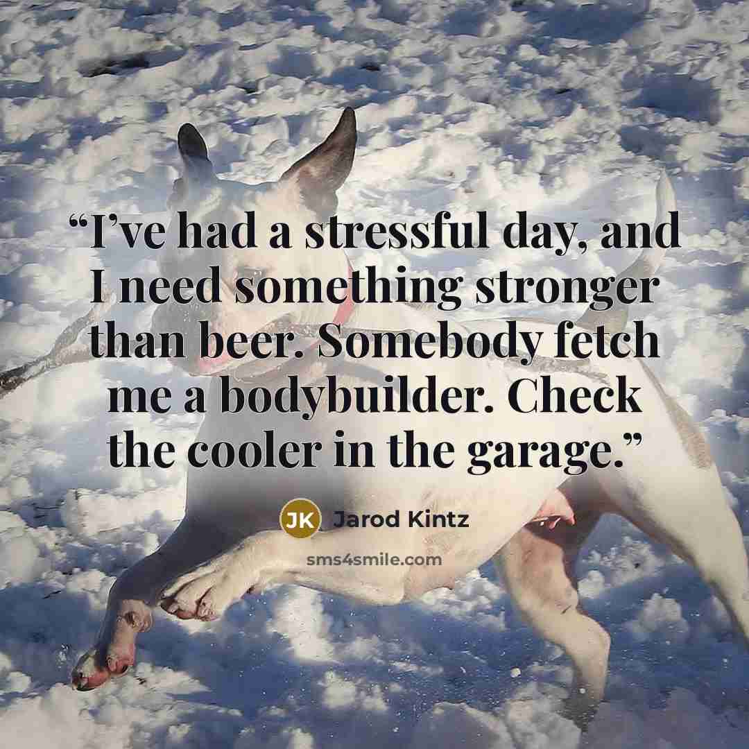 “I’ve had a stressful day, and I need something stronger than beer. Somebody fetch me a bodybuilder. Check the cooler in the garage.” quote by Jarod Kintz